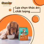 Hạt Ganador Adult Cho Chó Trưởng Thành Vị Gà Quay