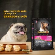 Hạt Ganador Adult Cho Chó Trưởng Thành Vị Cá Hồi & Gạo